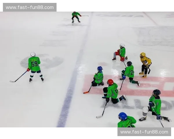 冰球教练——把热爱打造成冠军的秘密武器