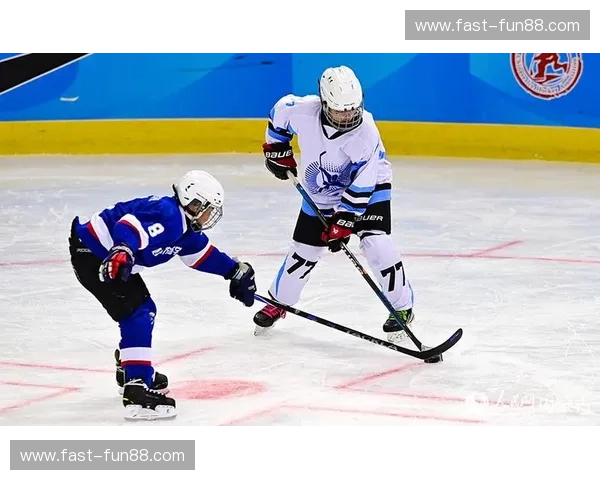 冰雪之锋：走进冰球的速度与热爱